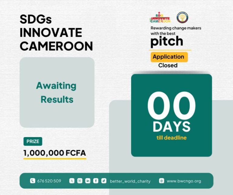 sdg innovate cameroon 2025 pitch applications closed